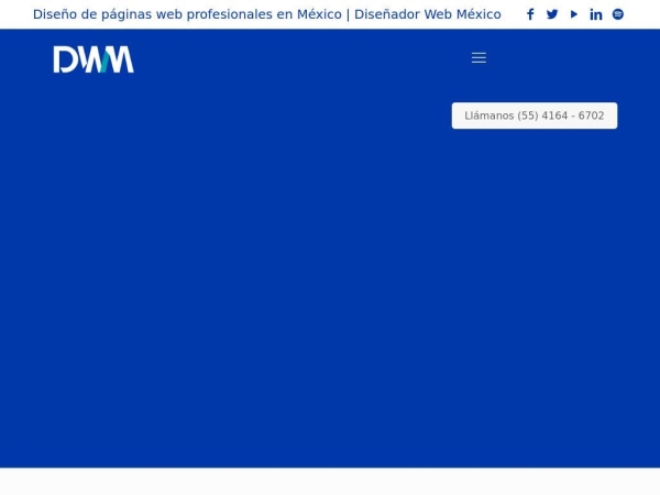 disenador-web-mexico.com