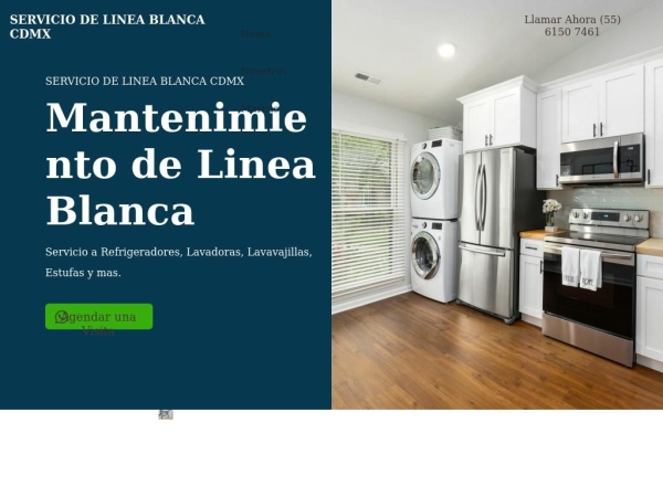 servicioprofecional.com.mx